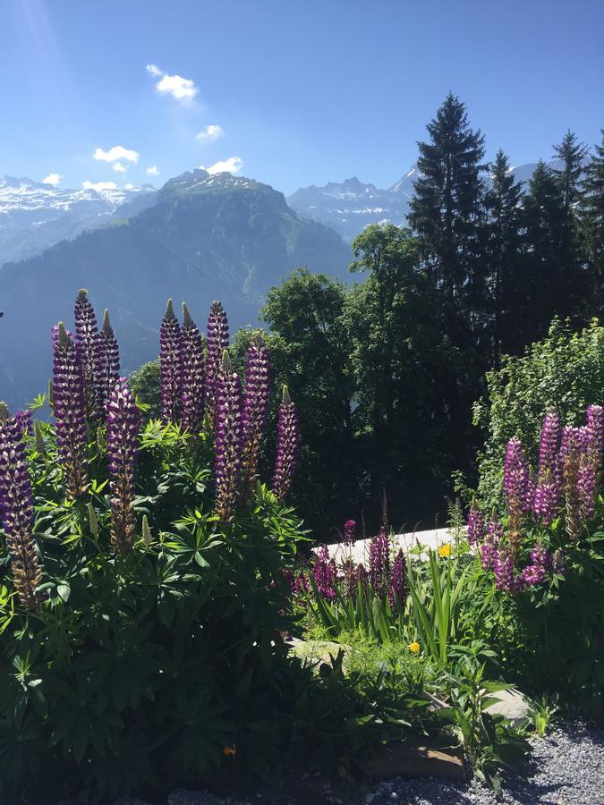 Hotel & Restaurant Stadthof Glarus Bagian luar foto