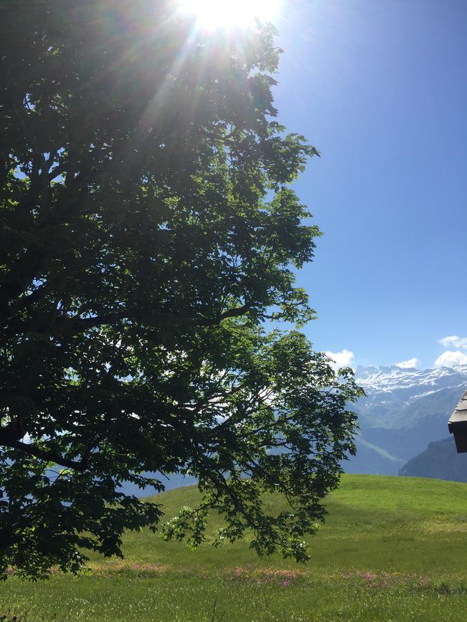 Hotel & Restaurant Stadthof Glarus Bagian luar foto